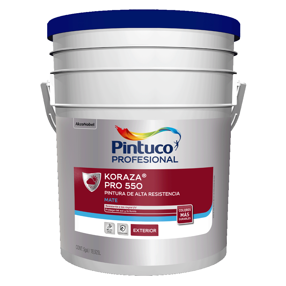 CUÑETE 5GL KORAZA PRO 550 FORTALEZA D